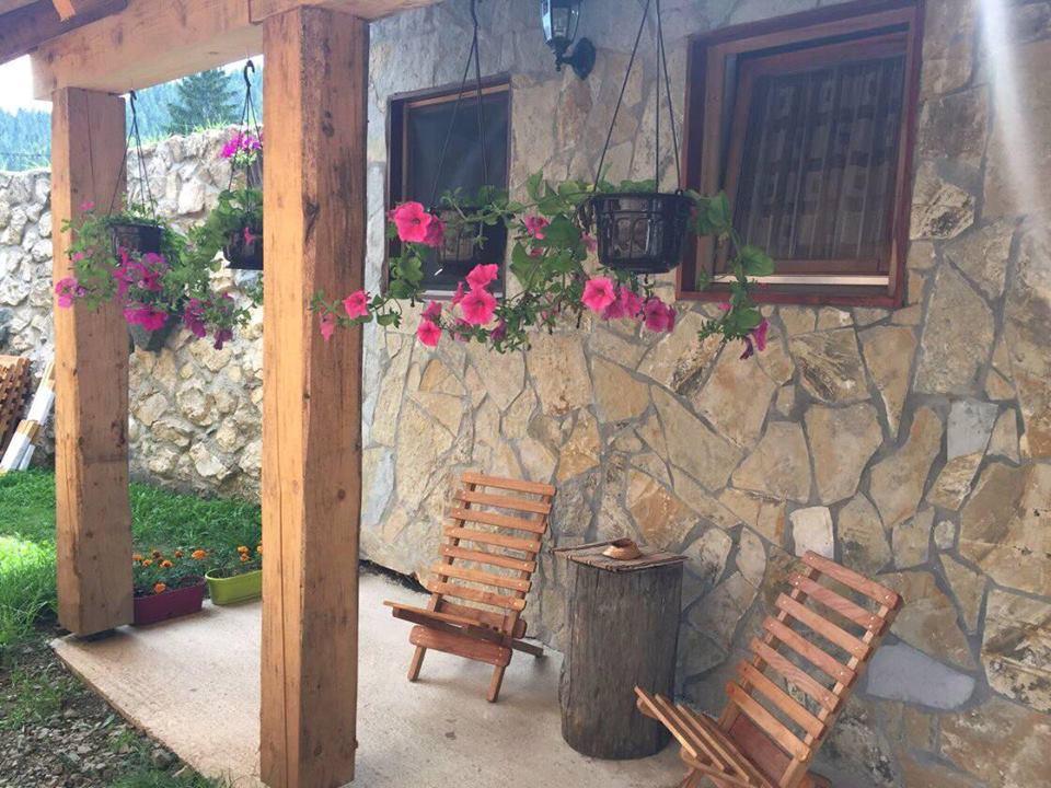 Konak Mandica Avlija Zaovine Extérieur photo